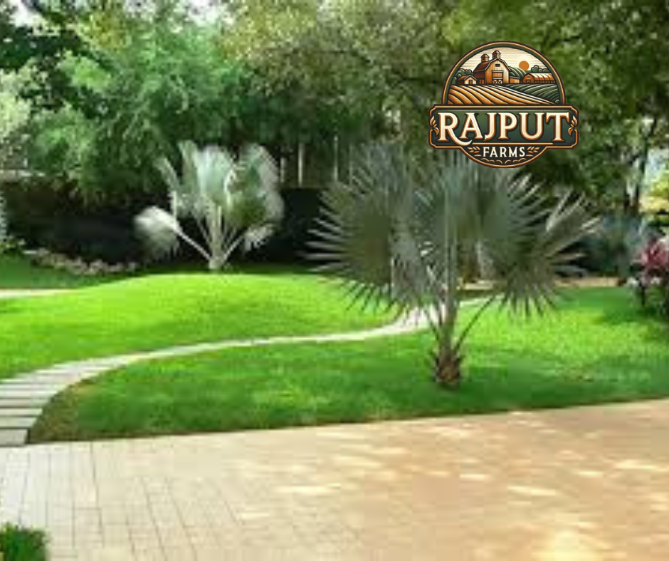 Best Landscaper near