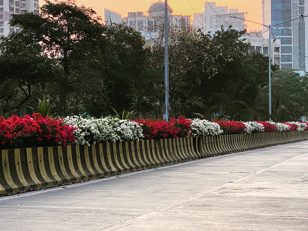 Road Divider Contractor